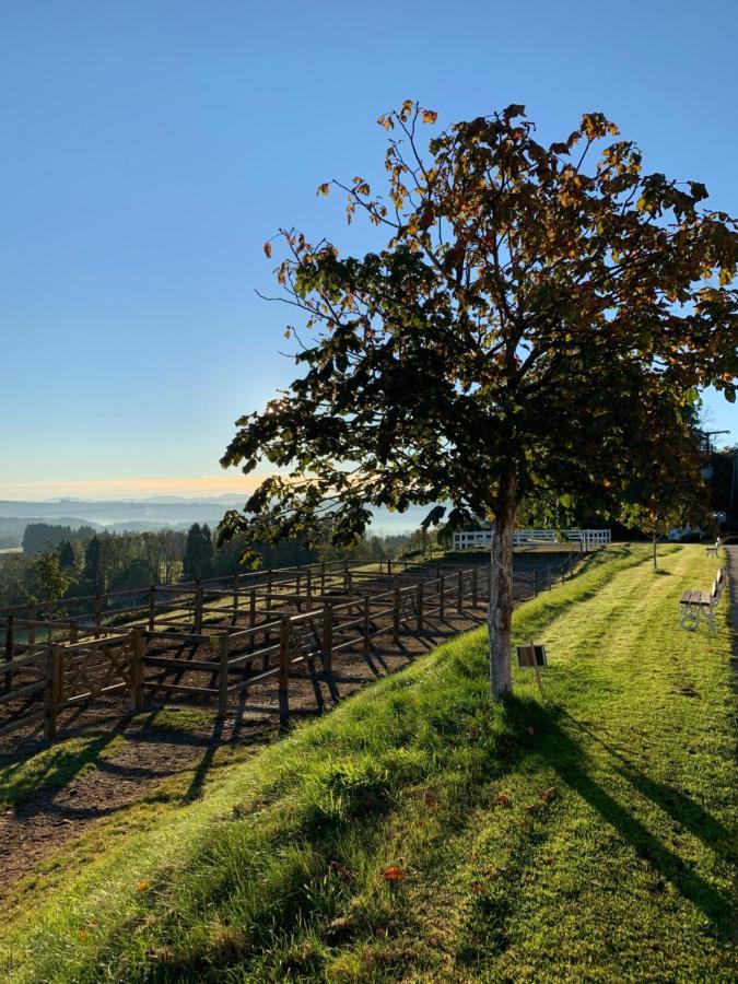 Gut Buchenhof Apartman Buchenberg  Kültér fotó