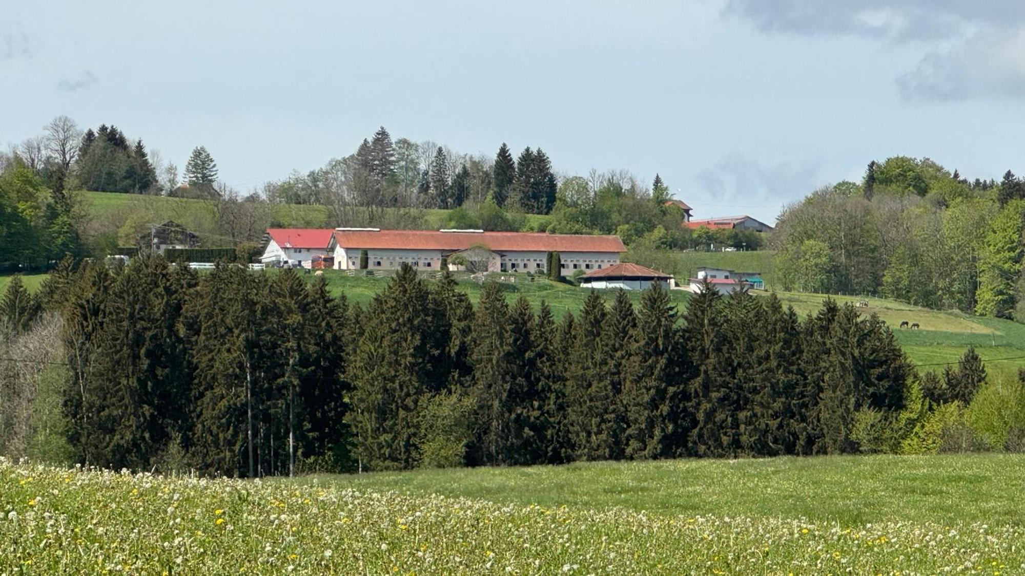 Gut Buchenhof Apartman Buchenberg  Kültér fotó